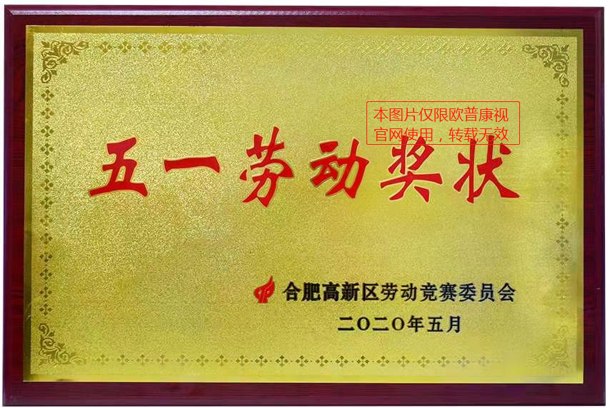 五一劳动奖状