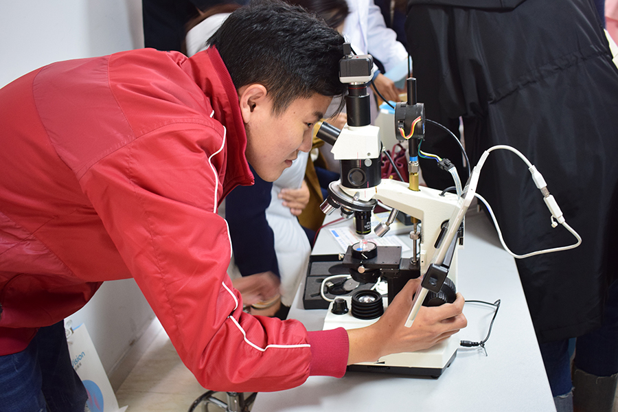 尊龙凯时 - 人生就是搏!